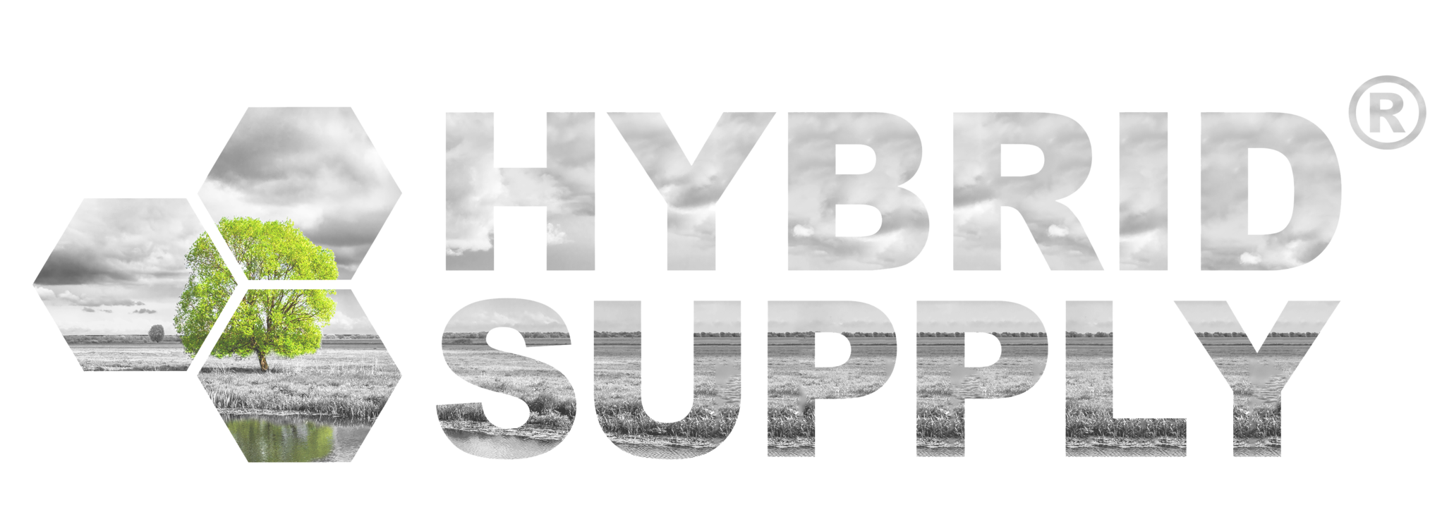 Hybrid Supply Logo